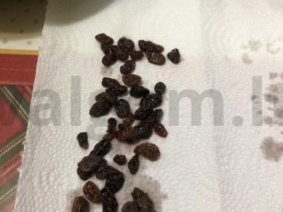 Grietinės pyragas su razinomis Žingsnis 6