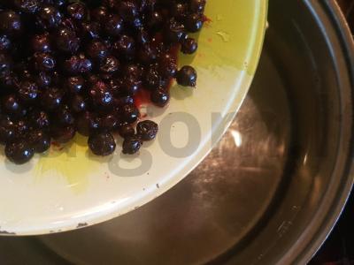 Šaltalankių, erškėtuogių ir serbentų kompotas Žingsnis 1