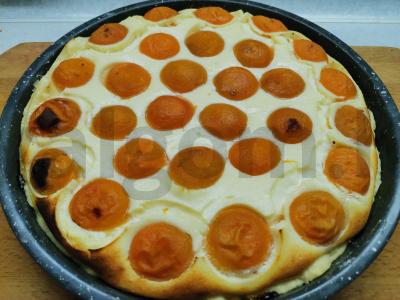 Abrikosų pyragas su varške pagrindine nuotrauka