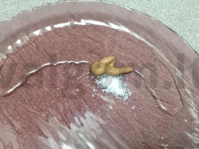 Vinegretas su raugintais kopūstais, barbaru ir garstyčių padažu Žingsnis 6