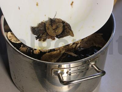 Sriuba su trimis grybų rūšimis Žingsnis 2