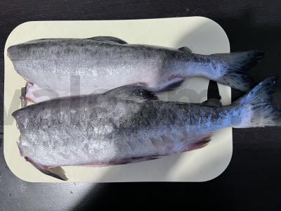 Kepta lašiša sojų padaže Žingsnis 1