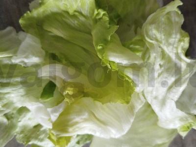 Cezario salotas su rukola Žingsnis 1