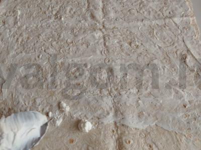 Tortilija su mėsa Žingsnis 3