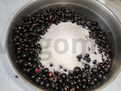 Juodųjų serbentų tyrė su cukrumi Žingsnis 2