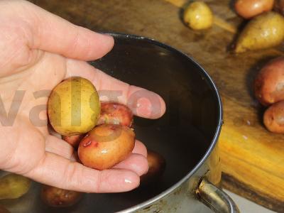 Vakarienė „A-la Niçoise“ su tunu ir žaliu žirneliu Žingsnis 1