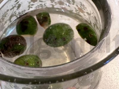 Obuolių arbata su feijoa ir cukatais Žingsnis 1