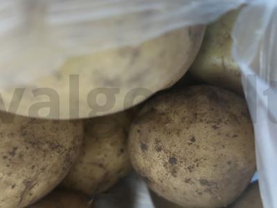 Kvapnus vištienos sultinys su makaronais Žingsnis 6