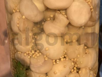 Marinuoti grybai žiemai pagrindine nuotrauka