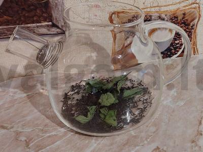 Arbata su medumi, citrina ir mėtomis Žingsnis 1