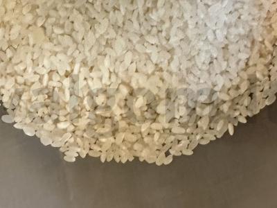 Plovas su jauna morkyte ir kalakutiena Žingsnis 4