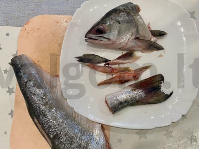 Silkė sūdyta sumuštiniams Žingsnis 1