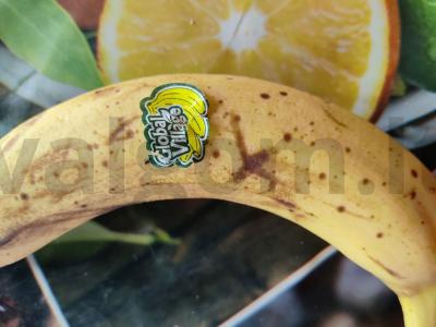 Moliūgų desertas Žingsnis 2