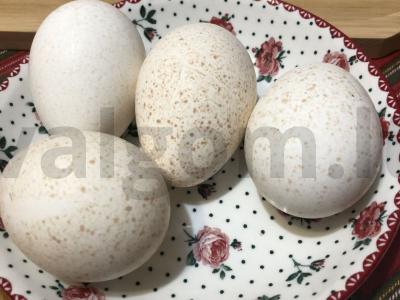 Kalakutų kiaušiniai su sūdyta kiauliena Žingsnis 2