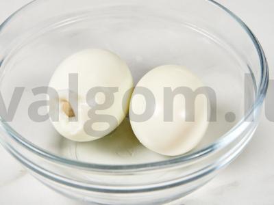 Salotas „Neptūnas“ su kalmaru Žingsnis 2