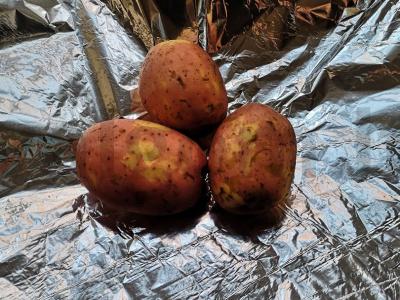 Vinegretas su raudonaisiais pupelėmis Žingsnis 1