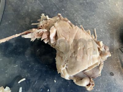 Daržovių sriuba su namine makaronais Žingsnis 6