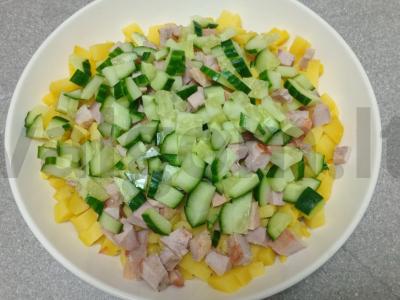 Okroška su šonine ir raudonuoju svogūnu ant kvass Žingsnis 4