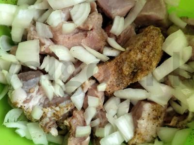 Sultingas mėsa ant svogūnų pagalvėlės Žingsnis 2