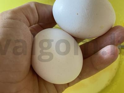 Avižiniai-vaniliniai blynai su kremu-medumi Žingsnis 1