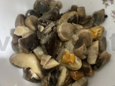 Salotas „Gribų lietus“ Žingsnis 1