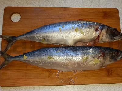 Rūkyta skumbrė ant kriaušių drožlių Žingsnis 4