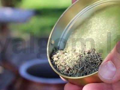 Kailinis triušis su pupelėmis afganų katile Žingsnis 6