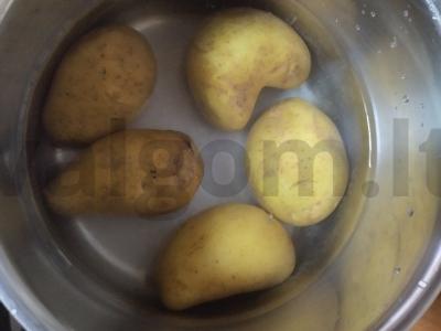 Silpnai sūdyta lašiša su garstyčių padažu Žingsnis 1