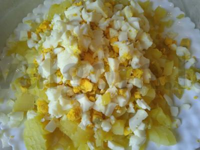 Okroška su vištiena ant beržo sulčių Žingsnis 2