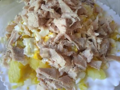 Okroška su vištiena ant beržo sulčių Žingsnis 3