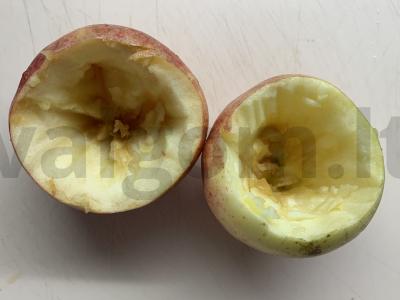 Obuoliai, kepti su varške ir mandarinais Žingsnis 1