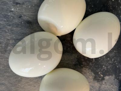 Salotas „Rudens valsas“ Žingsnis 3