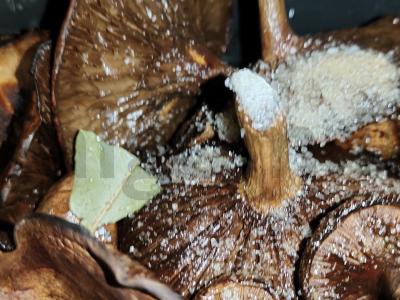 Antras patiekalas „Miško skanėstas“ Žingsnis 1