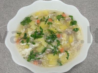 Antienos sultinys su vermišeliais ir pievagrybiais pagrindine nuotrauka