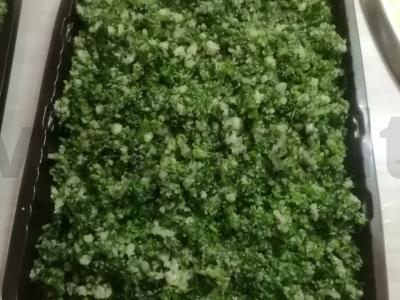 „Stebuklinga“ druska Žingsnis 6