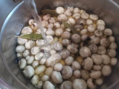 Konservuoti šampinjonai Žingsnis 4