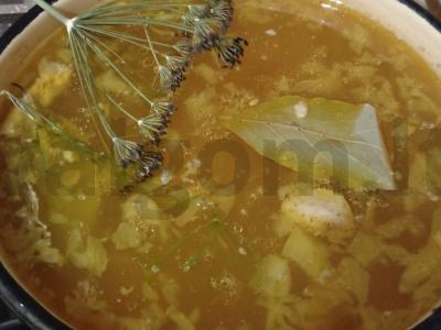 Jaunųjų kopūstų šči vištienos sultinyje Žingsnis 9