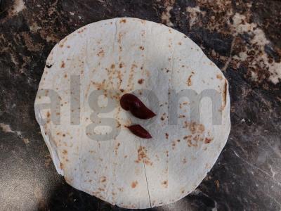 PP ritinys tortilijoje Žingsnis 2