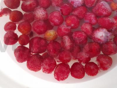 Braškės žiemai „Vasaros nuotaika“ Žingsnis 2