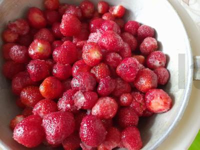 Braškės žiemai „Vasaros nuotaika“ Žingsnis 3