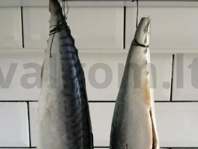 Sūdyta skumbrė prieskonių marinatu Žingsnis 7