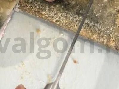 Kepti ritinėliai su raudona žuvimi ir krabų lazdelėmis Žingsnis 13