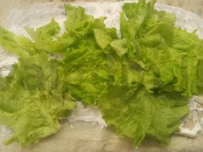 Lengva šašlykinė su vištiena ir daržovėmis Žingsnis 5