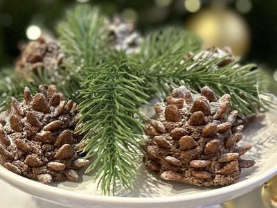 Šokoladiniai pyragaičiai „Pušų kankorėžiai“ pagrindine nuotrauka