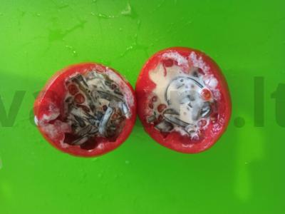 Kepti pomidorai su jūros dumbliais, ikrais ir sūriu Žingsnis 4