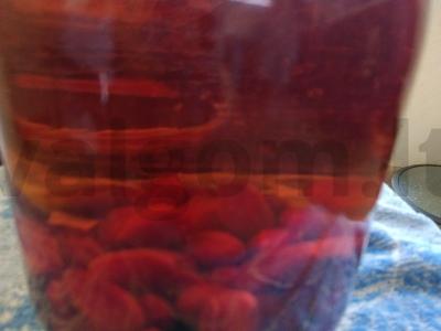 Šaltalankių kompotas su citrinos rūgštimi Žingsnis 9