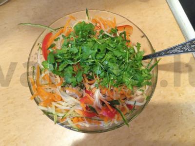 Salotas su funčozė ir vištiena azijietiškai Žingsnis 9