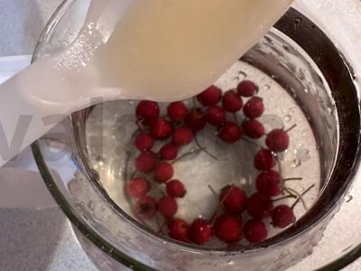 Arbata „Vakarinė“ su šermukšniu ir citrina Žingsnis 2