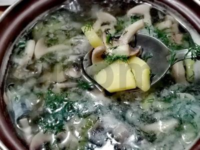 Sriuba su pievagrybiais pietums Žingsnis 6