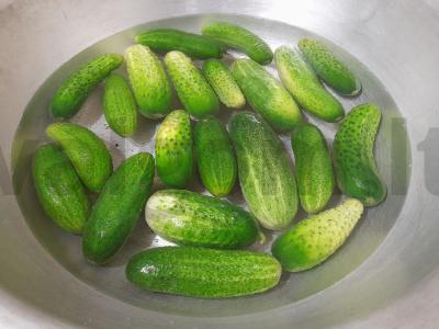 Sūdyti agurkai žiemai Žingsnis 2
